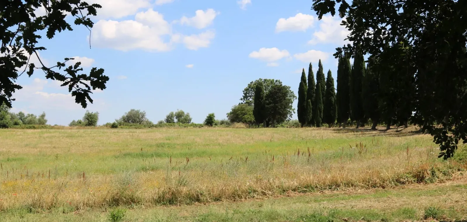 Degustazione vino in podere
